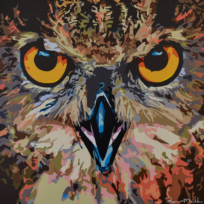 Eyes of Owl